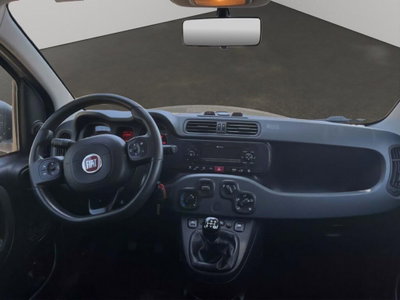 Fiat Panda 1.3 MJT 4x4 Pop Van 2 posti (10)