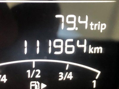 Volkswagen Polo 1.0 MPI 5p. Trendline (17)
