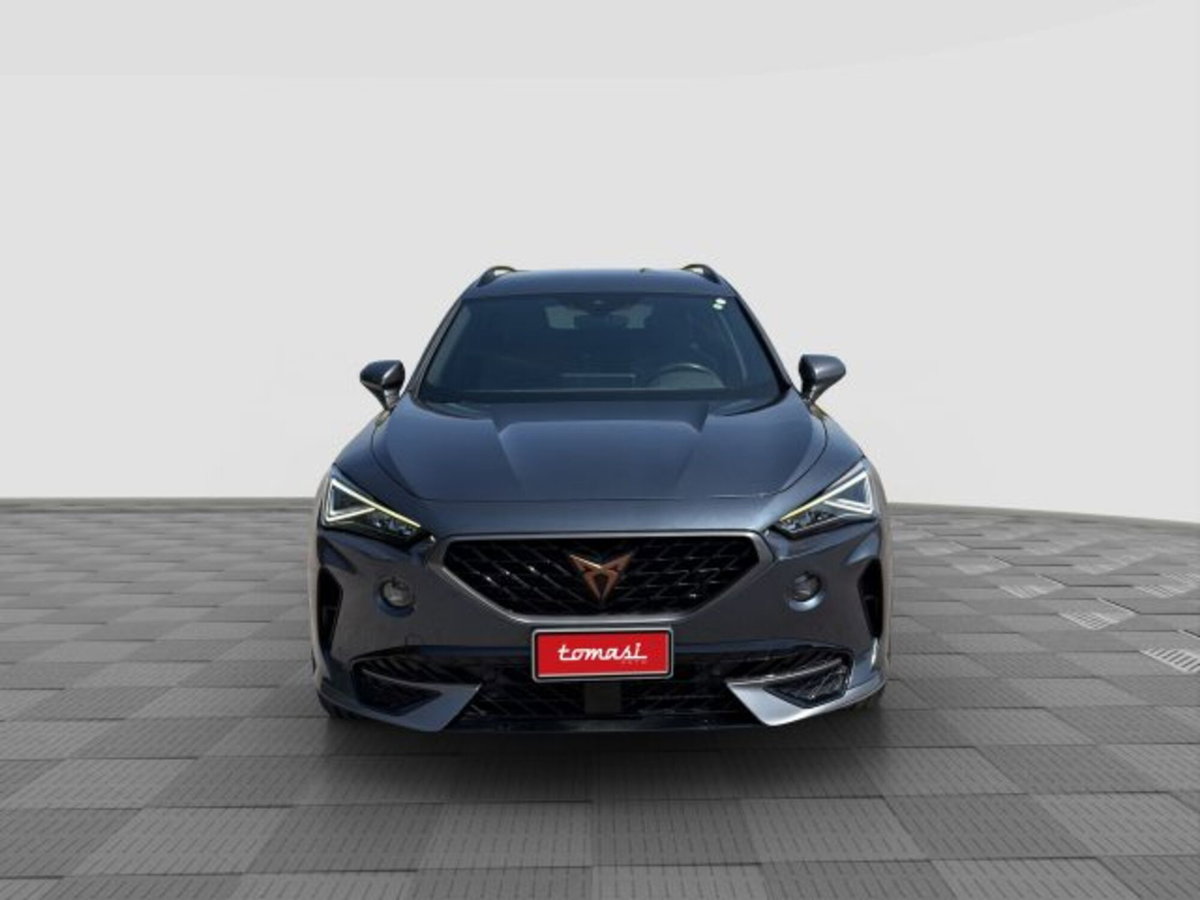 Cupra Formentor Formentor 1.5 TSI (8)