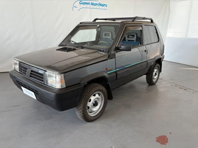 Fiat Panda 1100 i.e. cat 4x4 usata