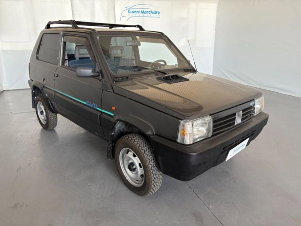 Fiat Panda 1100 i.e. cat 4x4 (3)