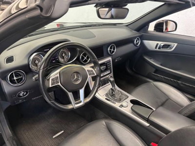 Mercedes-Benz SLK 250 BlueEFFICIENCY Sport (10)