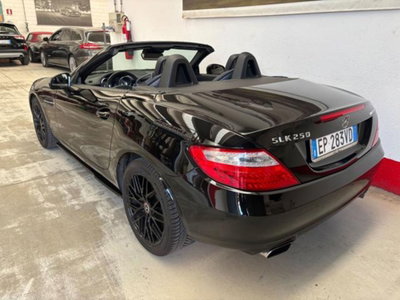 Mercedes-Benz SLK 250 BlueEFFICIENCY Sport (5)