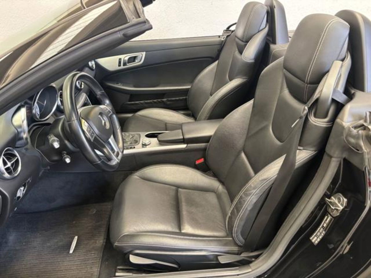 Mercedes-Benz SLK 250 BlueEFFICIENCY Sport (9)