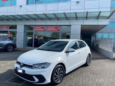 Volkswagen Polo 1.0 EVO usata