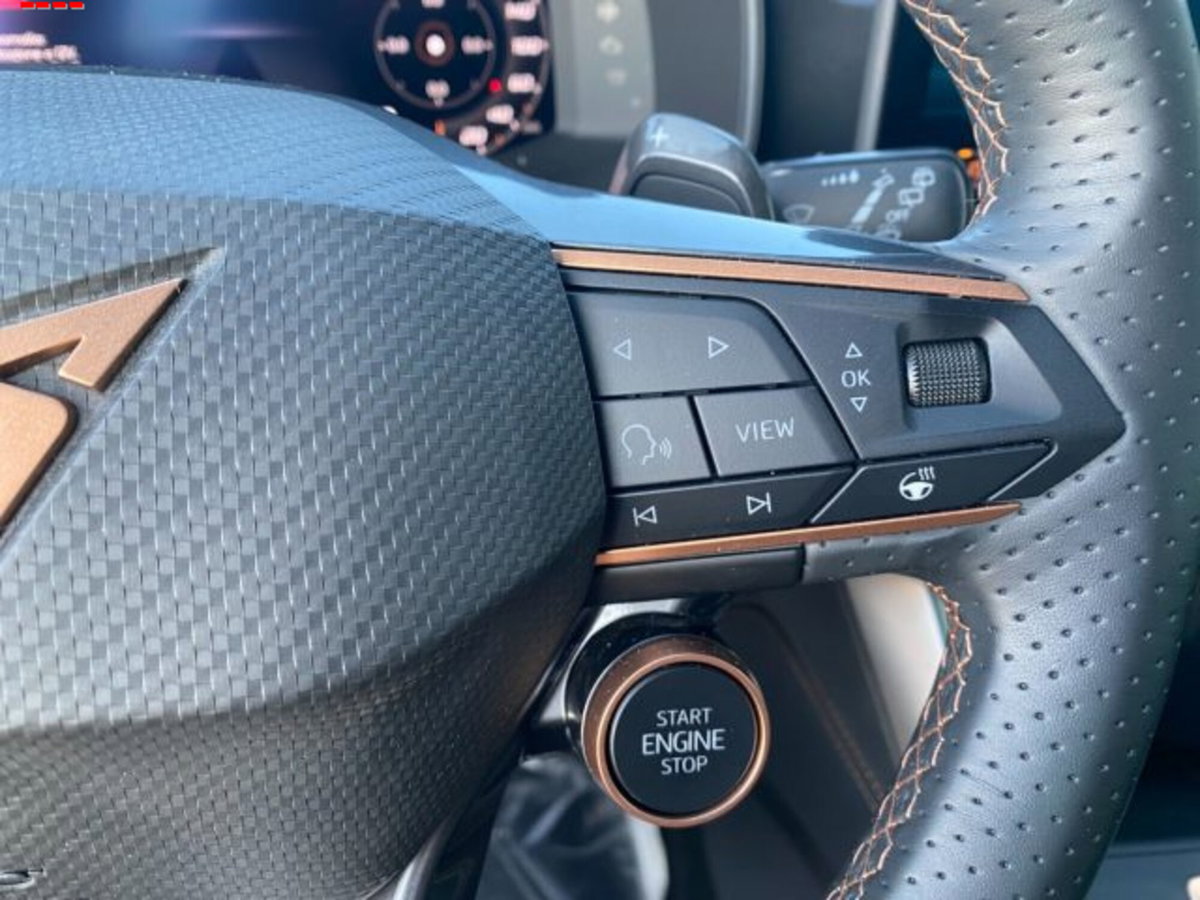 Cupra Formentor Formentor 2.0 TDI (15)