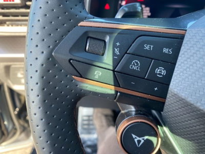 Cupra Formentor Formentor 2.0 TDI (16)