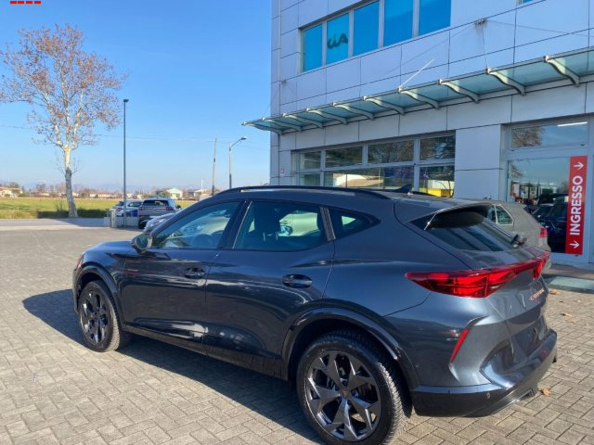 Cupra Formentor Formentor 2.0 TDI (3)