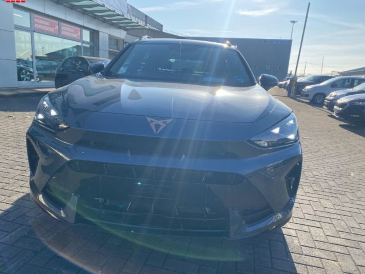Cupra Formentor Formentor 2.0 TDI (7)