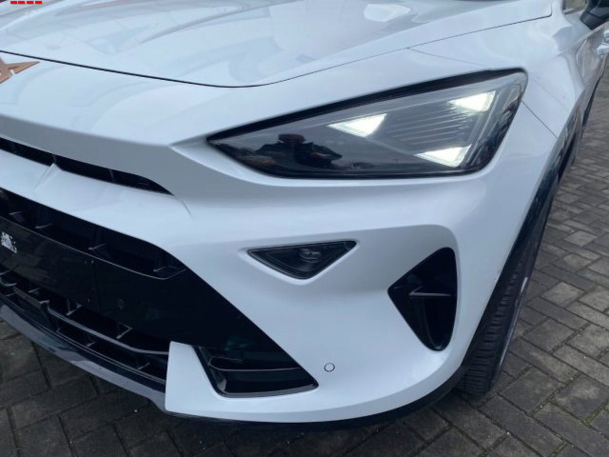 Cupra Formentor Formentor 2.0 TDI (3)