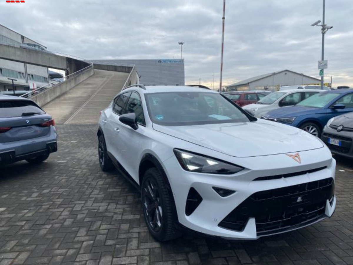 Cupra Formentor Formentor 2.0 TDI (6)