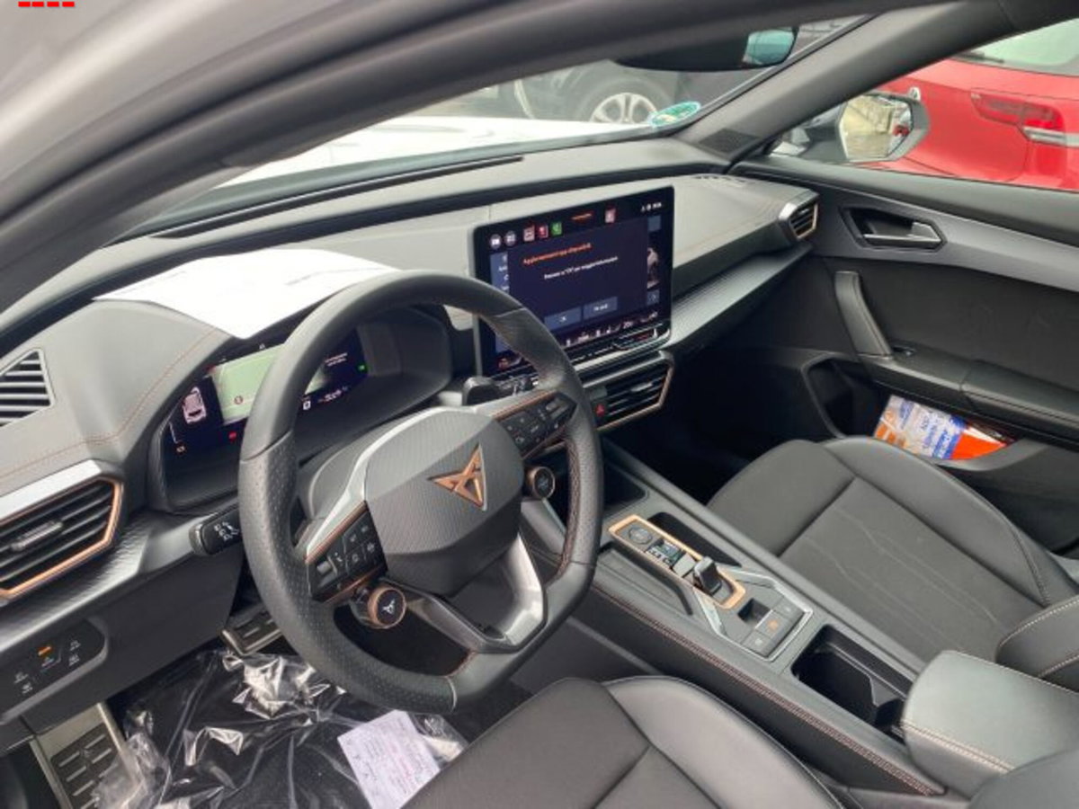 Cupra Formentor Formentor 2.0 TDI (9)