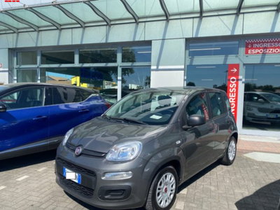 Fiat Panda 1.0 firefly hybrid s&s 70cv 5p.ti usata