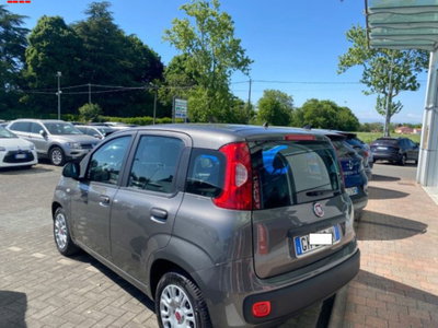 Fiat Panda 1.0 firefly hybrid s&s 70cv 5p.ti (2)