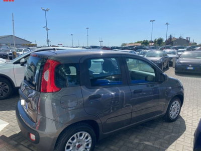 Fiat Panda 1.0 firefly hybrid s&s 70cv 5p.ti (4)