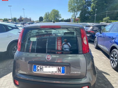 Fiat Panda 1.0 firefly hybrid s&s 70cv 5p.ti (5)