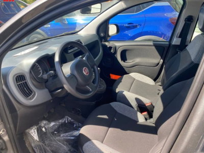Fiat Panda 1.0 firefly hybrid s&s 70cv 5p.ti (7)