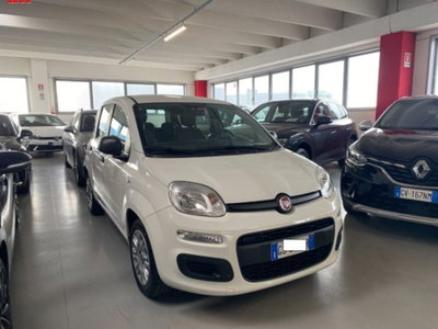 Fiat Panda 1.0 firefly hybrid s&s 70cv 5p.ti (2)