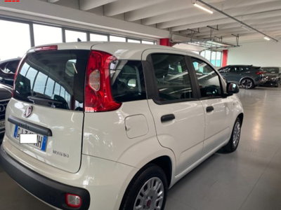 Fiat Panda 1.0 firefly hybrid s&s 70cv 5p.ti (3)