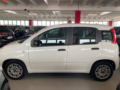 Fiat Panda 1.0 firefly hybrid s&s 70cv 5p.ti (5)
