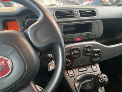 Fiat Panda 1.0 firefly hybrid s&s 70cv 5p.ti (7)
