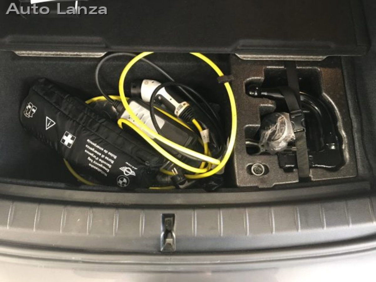 BMW X1 xDrive25e Business Advantage (12)