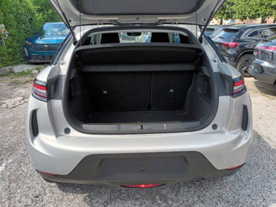 Ds DS 3 1.2 puretech Performance Line 100cv (15)