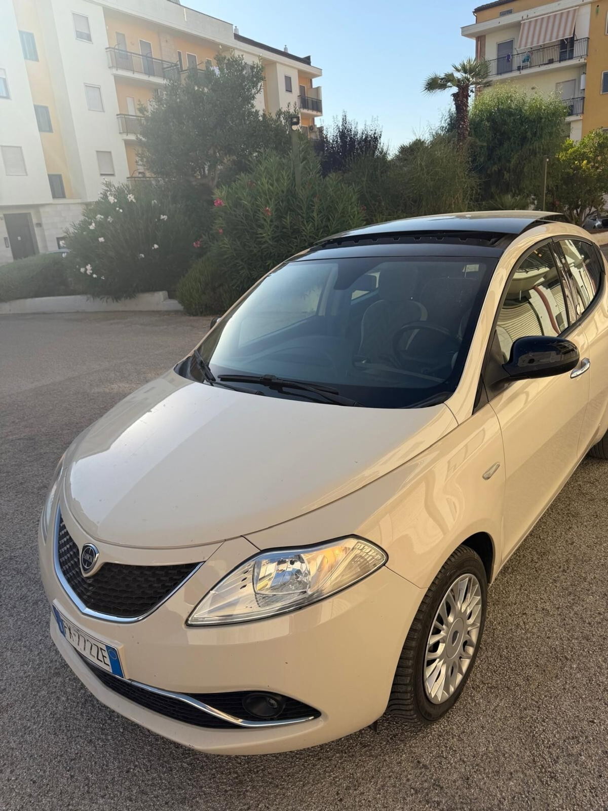 Lancia Ypsilon 1.2 69 CV 5 porte GPL Ecochic Gold (15)