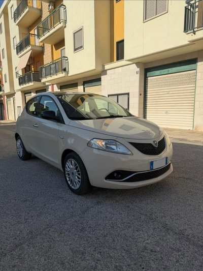 Lancia Ypsilon 1.2 69 CV 5 porte GPL Ecochic Gold (16)