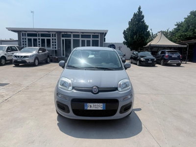 Fiat Panda 1.2 EasyPower Easy usata