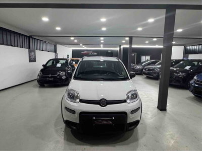 Fiat Panda 1.0 FireFly S&S Hybrid City Life usata