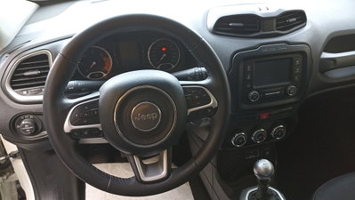 Jeep Renegade 1.6 Mjt 120 CV Longitude (9)