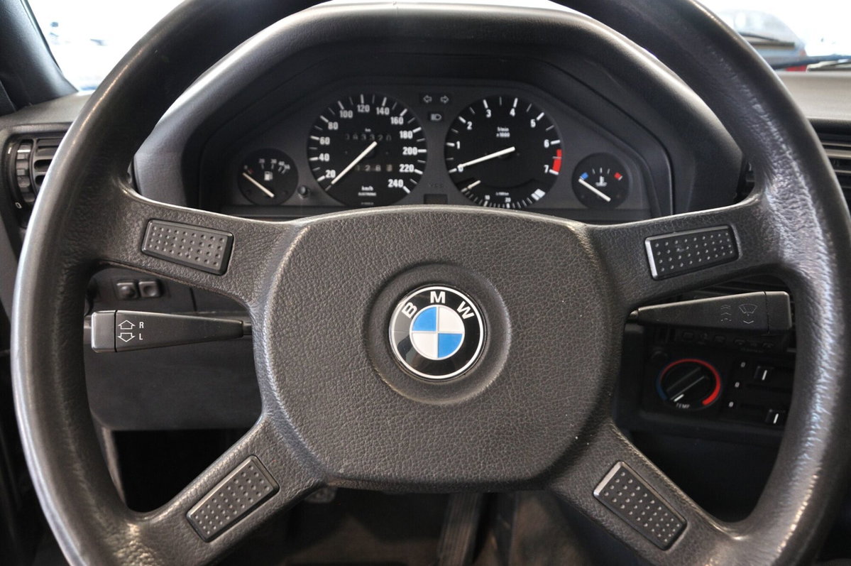 BMW Serie 3 316 4 porte (13)