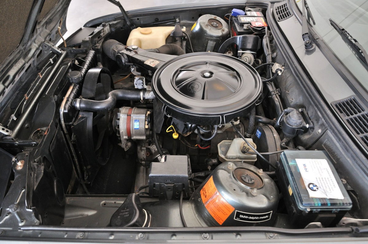 BMW Serie 3 316 4 porte (9)