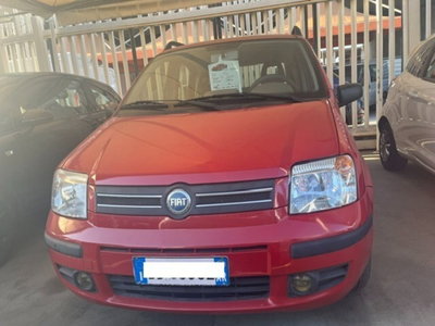 Fiat Panda 1.2 Dynamic usata