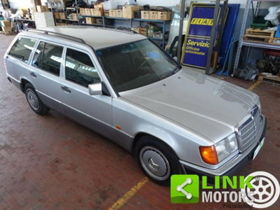 Mercedes-Benz 200 Station Wagon 200 TE-16 cat Station Wagon (7)