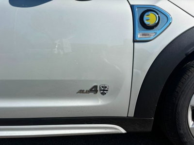 MINI Mini Countryman 1.5 Cooper Countryman ALL4 Automatica (8)
