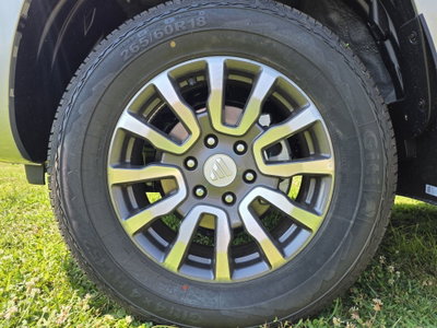 Foton Tunland Pick-up Tunland G7 2.0 tdi double cab auto (20)