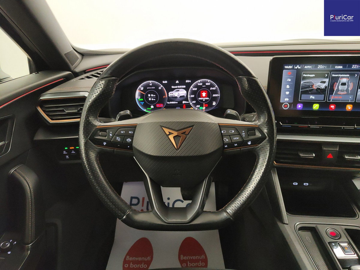 Cupra Formentor Formentor 2.0 tdi 4drive 150cv dsg (16)