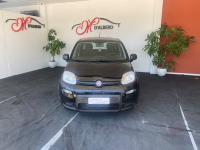 Fiat Panda Cross Cross 1.0 FireFly S&S Hybrid usata