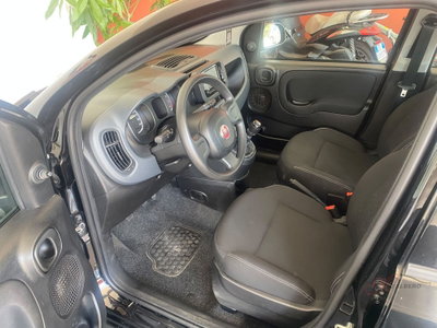 Fiat Panda Cross Cross 1.0 FireFly S&S Hybrid (10)