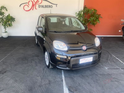 Fiat Panda Cross Cross 1.0 FireFly S&S Hybrid (2)