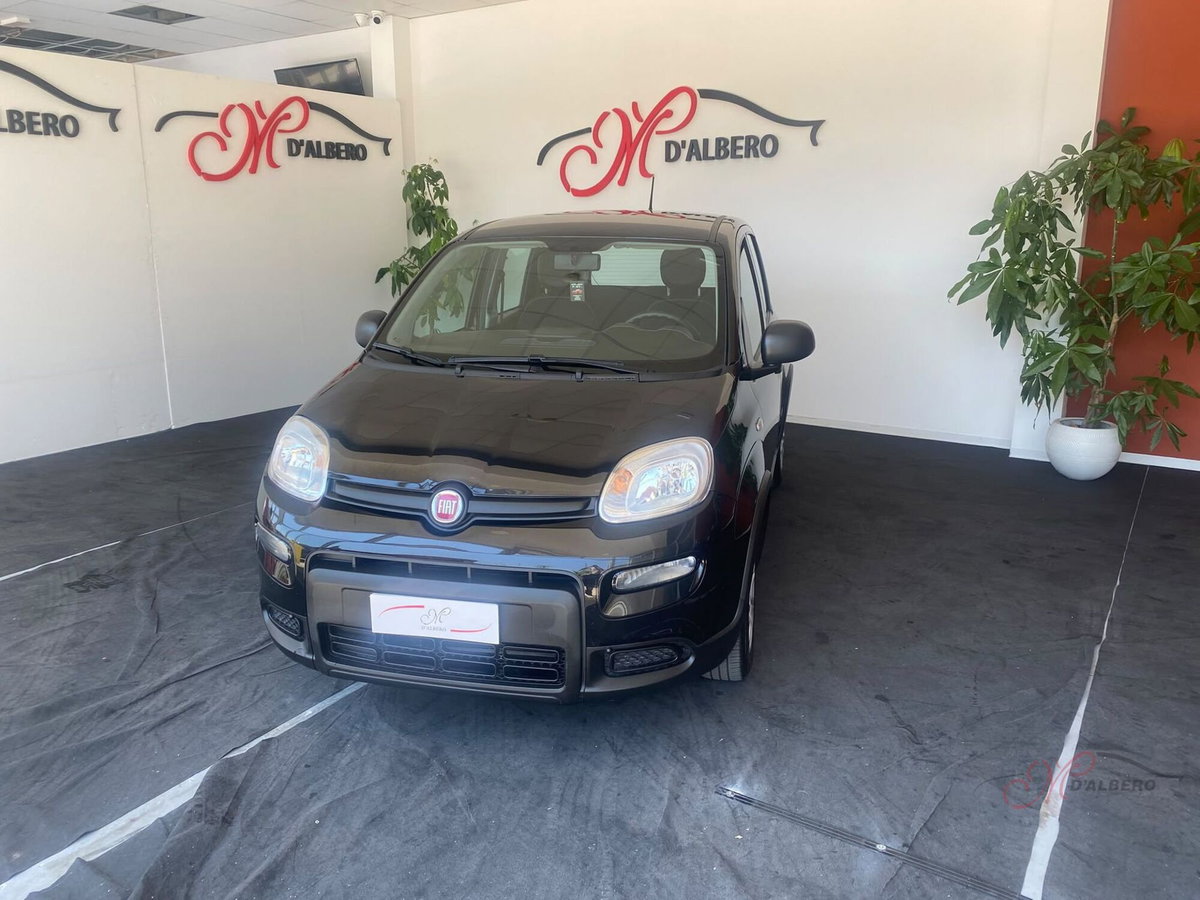 Fiat Panda Cross Cross 1.0 FireFly S&S Hybrid (3)