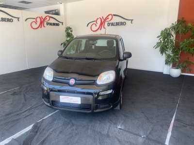 Fiat Panda Cross Cross 1.0 FireFly S&S Hybrid (3)