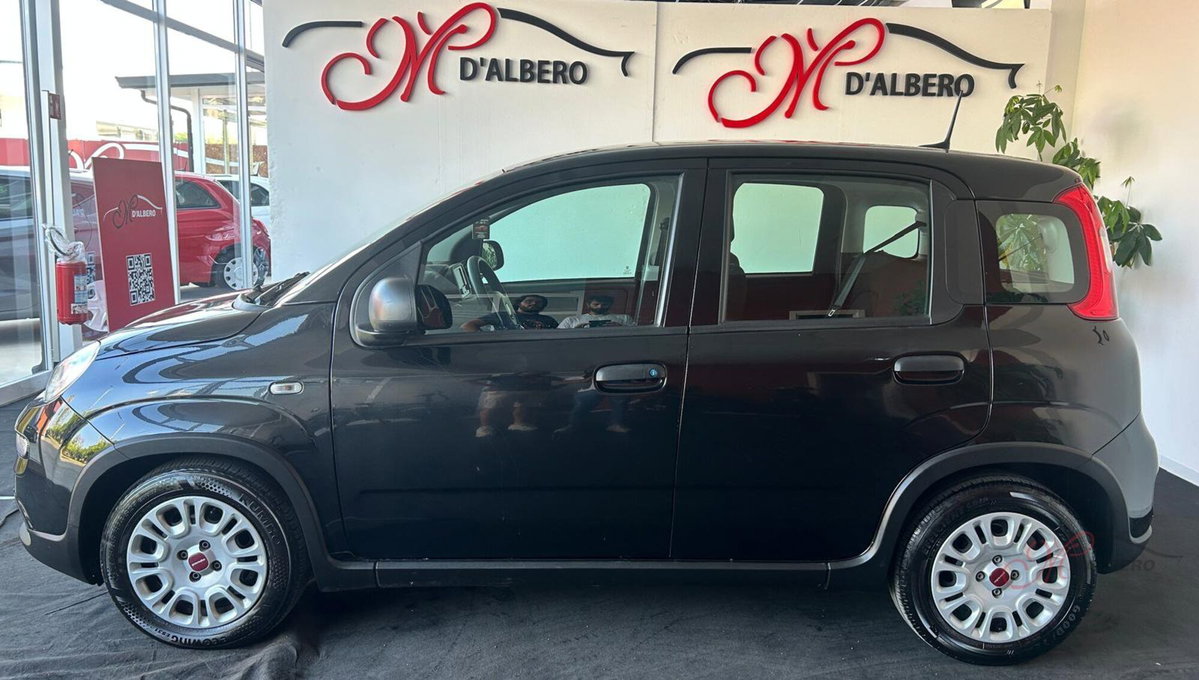 Fiat Panda Cross Cross 1.0 FireFly S&S Hybrid (4)