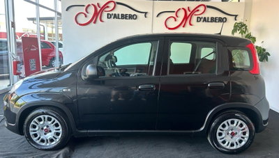 Fiat Panda Cross Cross 1.0 FireFly S&S Hybrid (4)
