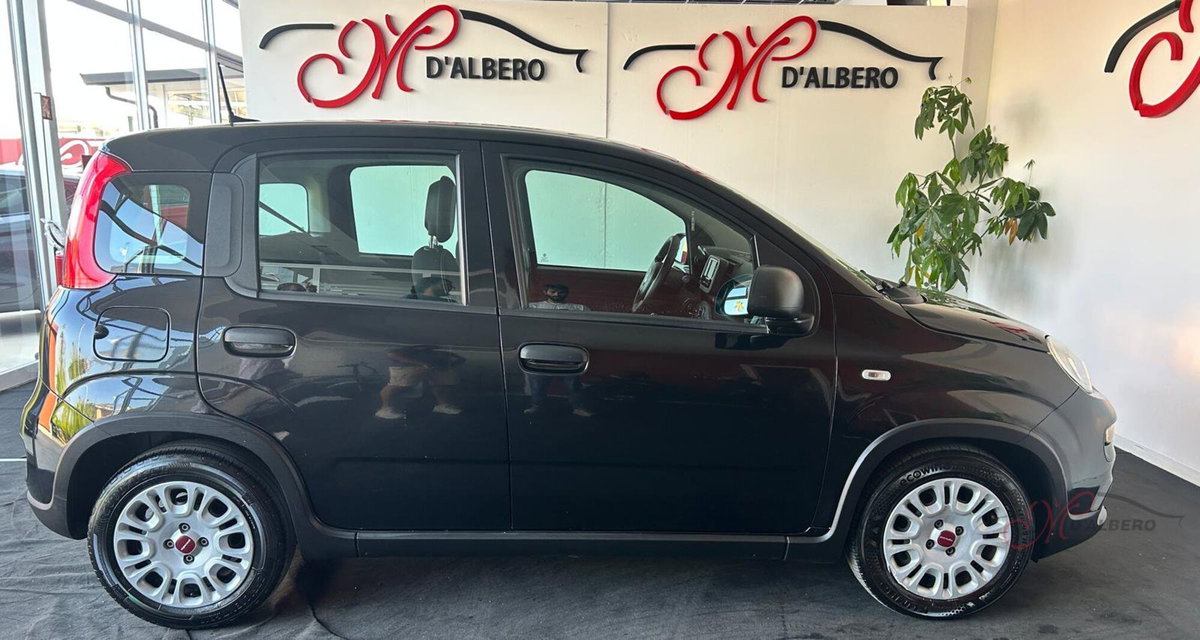 Fiat Panda Cross Cross 1.0 FireFly S&S Hybrid (5)