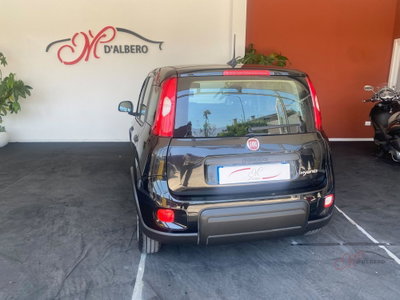 Fiat Panda Cross Cross 1.0 FireFly S&S Hybrid (6)