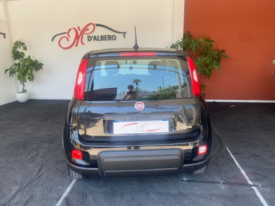 Fiat Panda Cross Cross 1.0 FireFly S&S Hybrid (7)