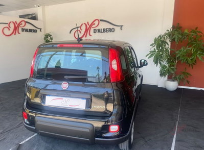 Fiat Panda Cross Cross 1.0 FireFly S&S Hybrid (8)